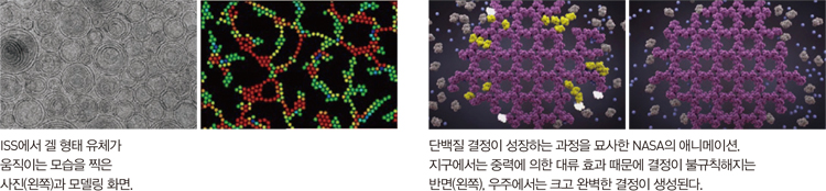 ISS에서 겔 형태 유체가 움직이는 모습을 찍은 사진(왼쪽)과 모델링 화면. 단백질 결정이 성장하는 과정을 묘사한 NASA의 애니메이션. 지구에서는 중력에 의한 대류 효과 때문에 결정이 불규칙해지는 반면(왼쪽), 우주에서는 크고 완벽한 결정이 생성된다.