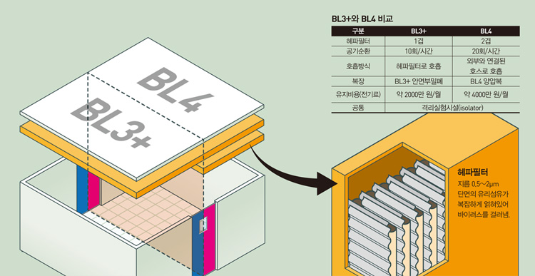 BL3+와 BL4 비교 - 헤파필터는지름 0.5~2μm단면의 유리섬유가복잡하게 얽혀있어바이러스를 걸러냄.