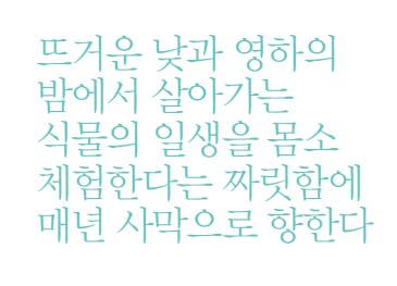 뜨거운 낮과 영하의 밤에서 살아가는 식물의 일생을 몸소 체험한다는 짜릿함에 매년 사막으로 향한다.