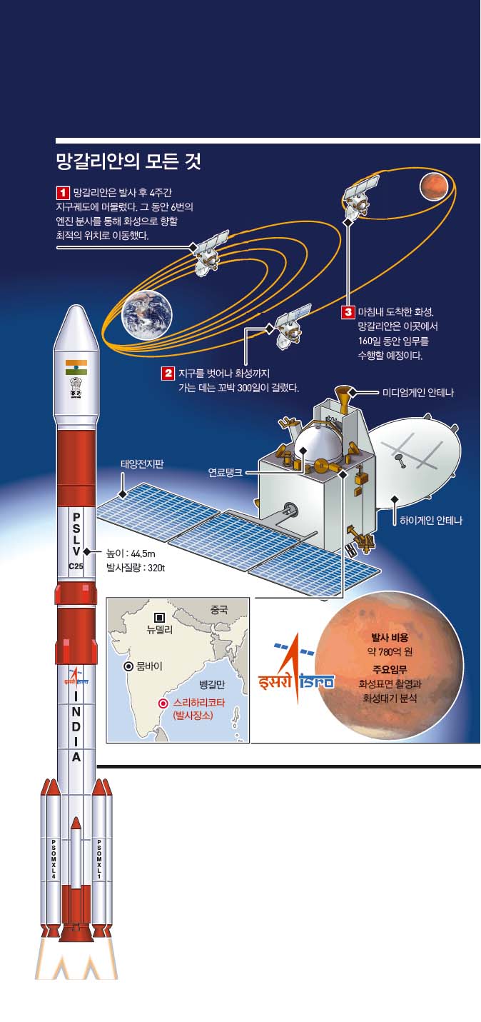 망갈리안의 모든 것