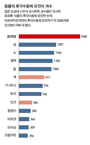 동물의 후각수용체 유전자 개수