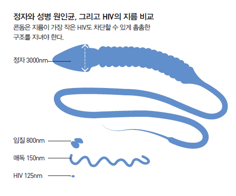 정자와 성병 원인균, 그리고 HIV의 지름 비교