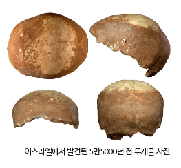 이스라엘에서 발견된 5만5000년 전 두개골 사진