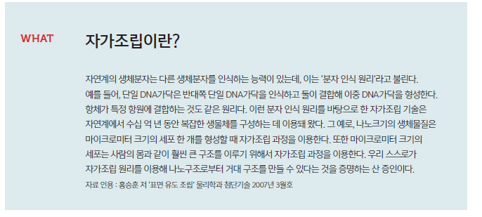 자가조립이란?