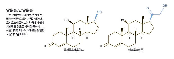 닮은 듯, 안 닮은 듯