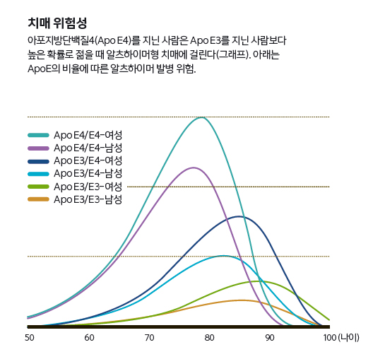 치매 위험성