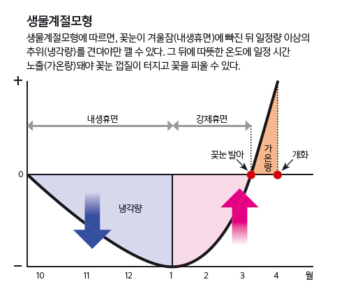 생물계절모형