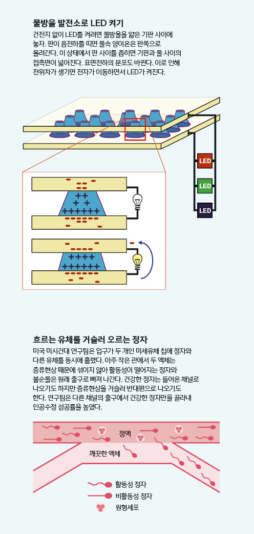 height:1041px; width:496px