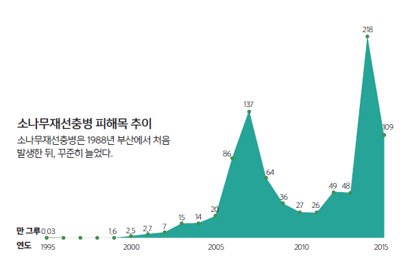 소나무재선충병 피해목 추이