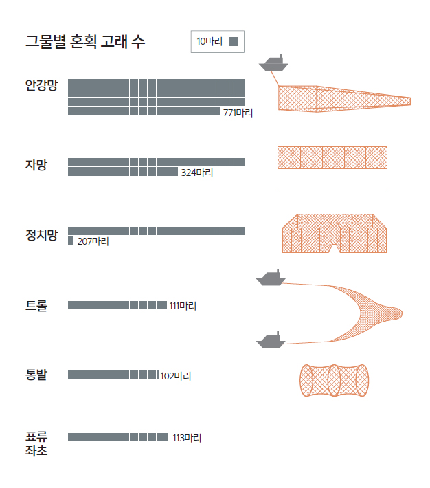 그물별 혼획 고래 수