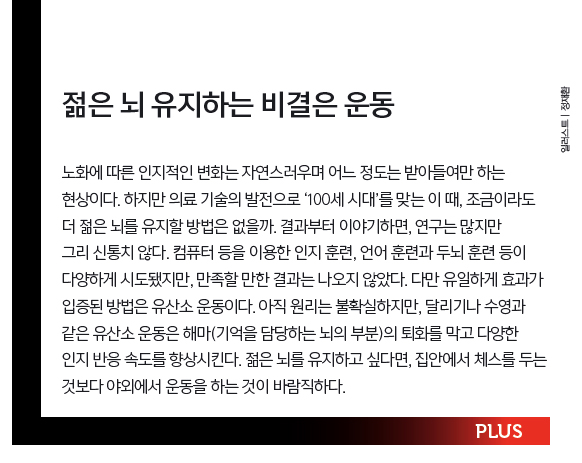 젊은 뇌 유지하는 비결은 운동